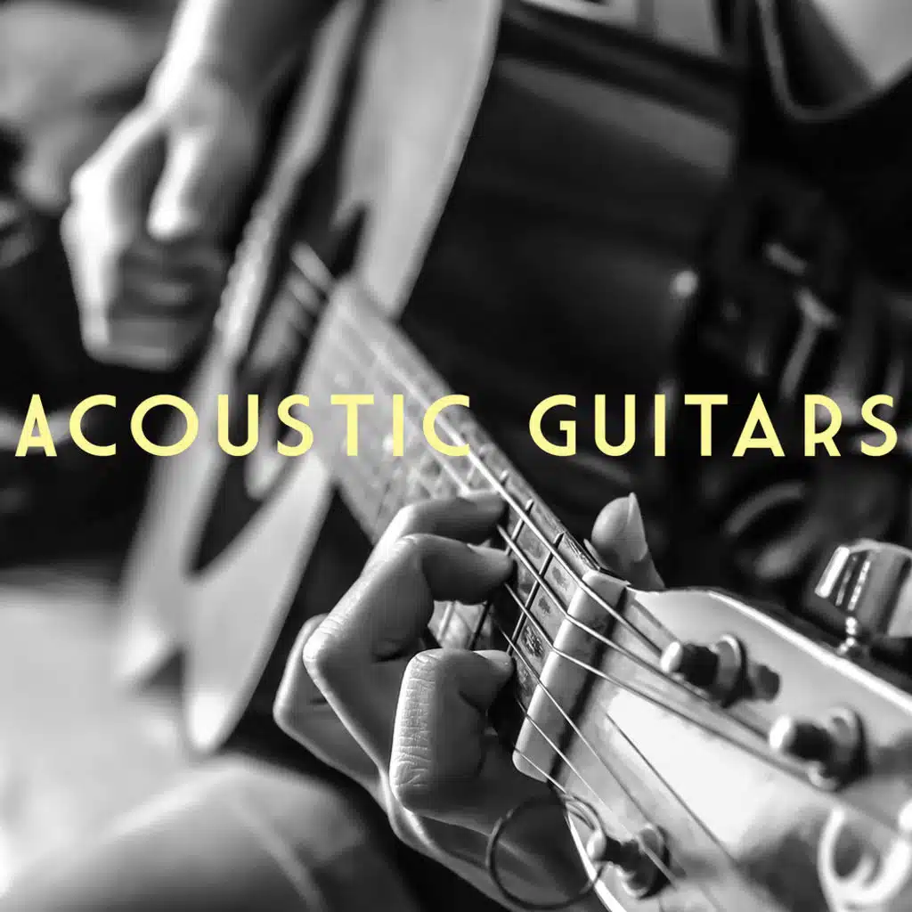 Acoustic Guitars