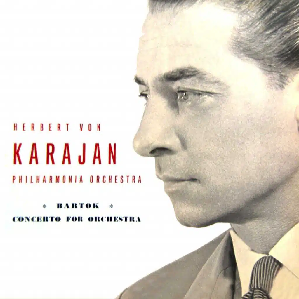 Concerto for Orchestra: I. Andante non troppo