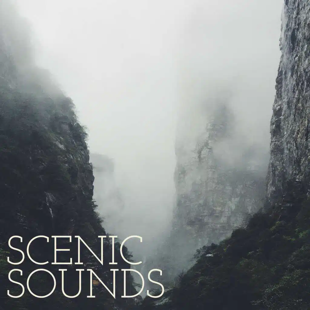 Scenic Sounds