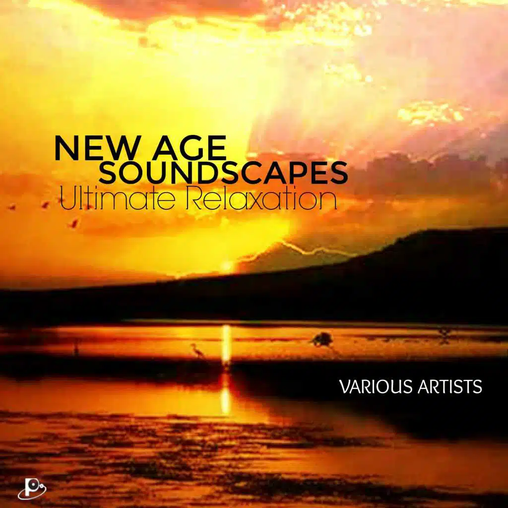 New Age Soundscapes : Ultimate Relaxation