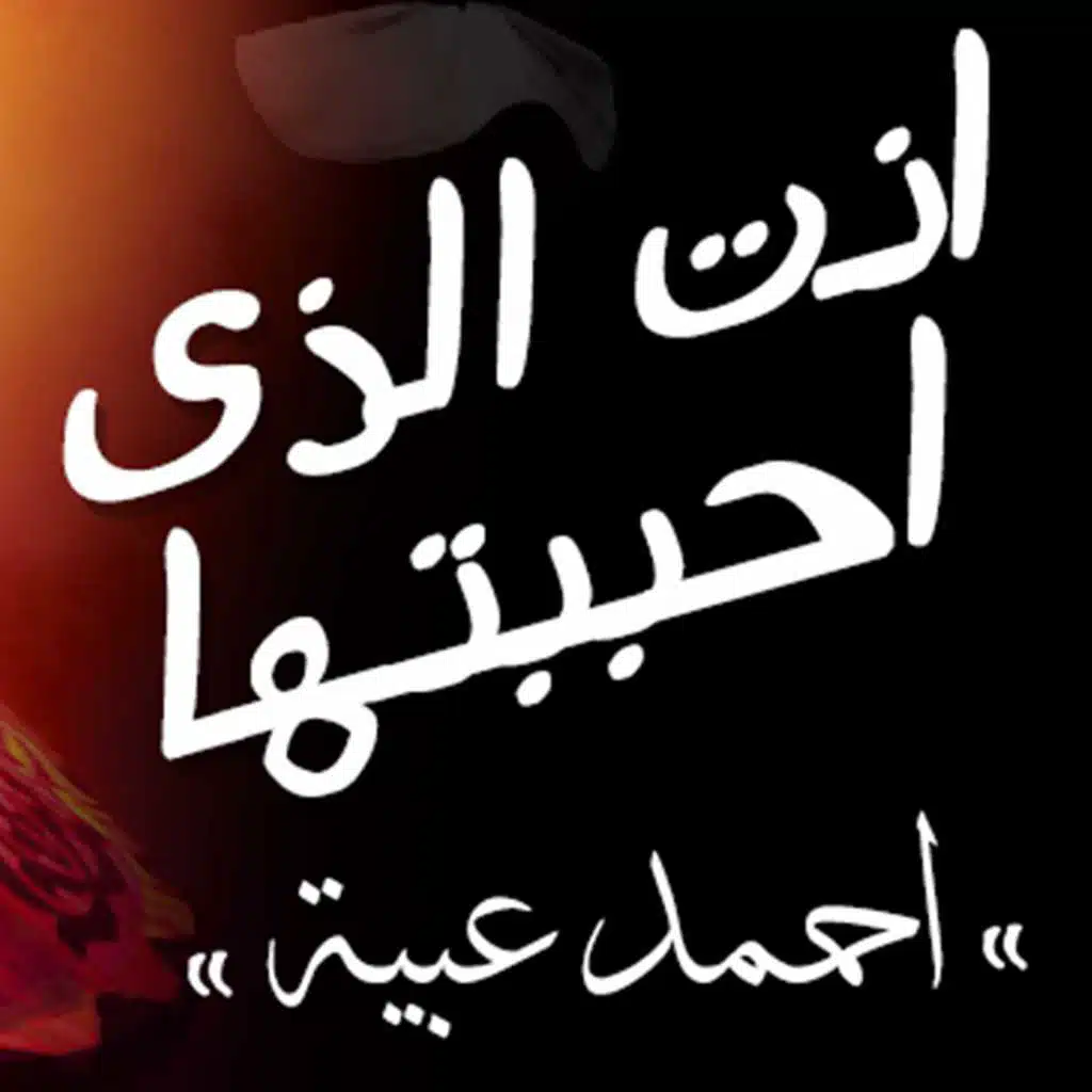 مولد أنت الذي أحببتها