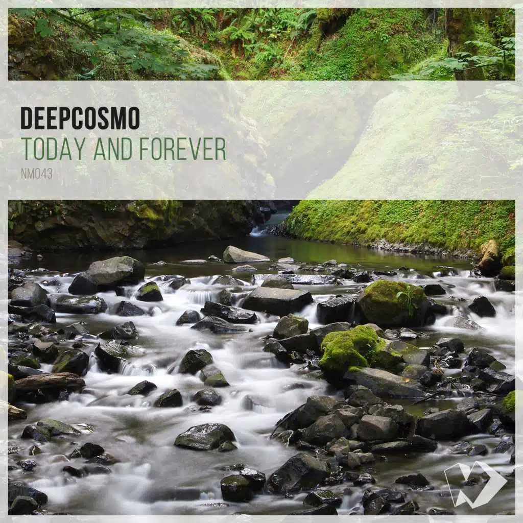 In a Field of Flowers