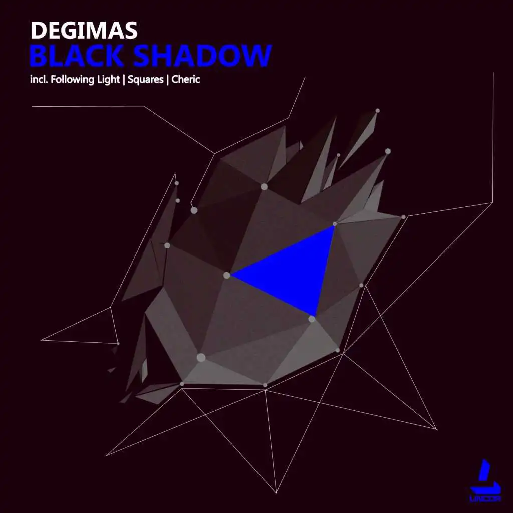 Black Shadow (Following Light Remix)