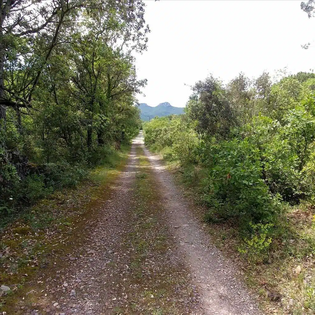 Unknown Unknowns (Live)