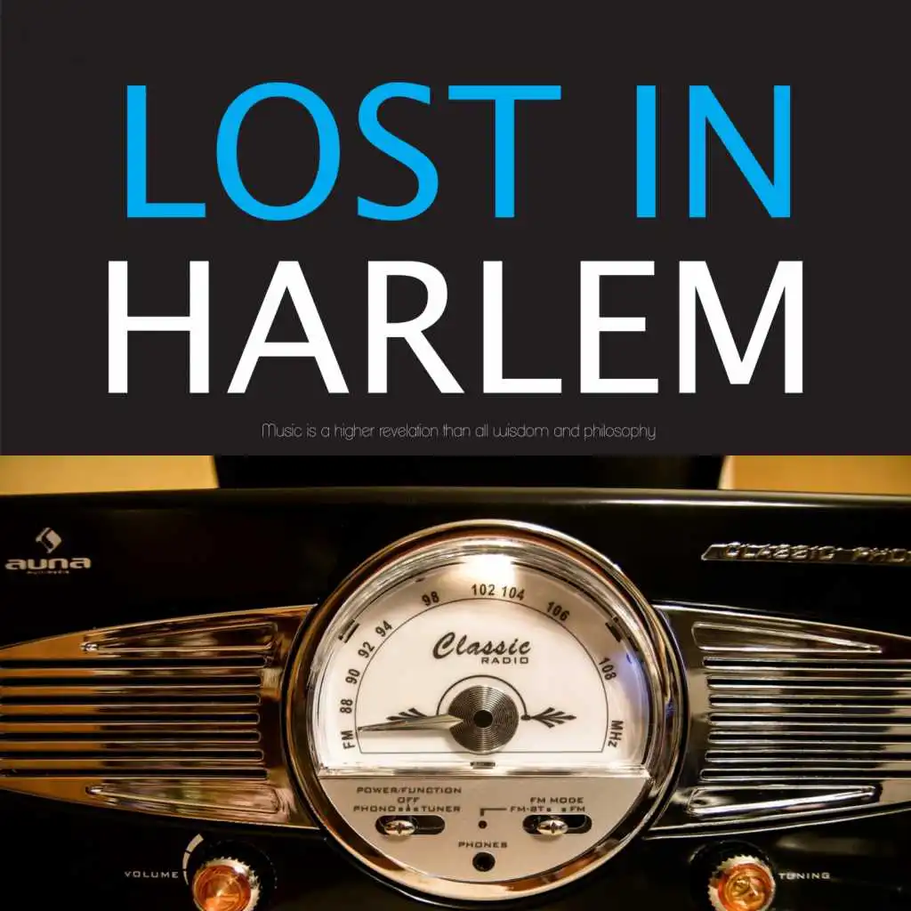 Lost in Harlem