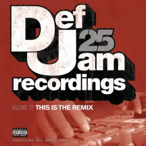 Def Jam 25, Vol. 12 - This Is The Remix