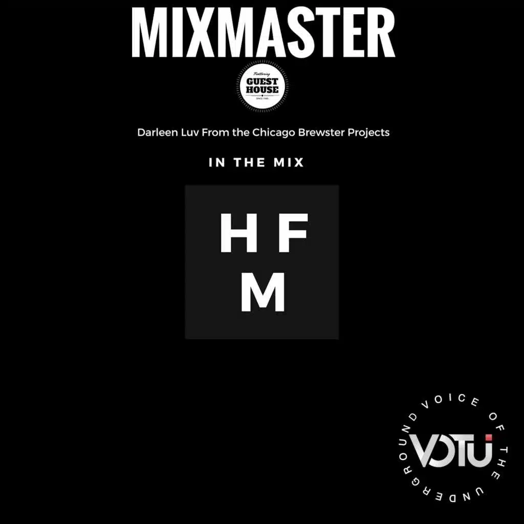 In the Mix (HFM) [feat. Darleen Luv]