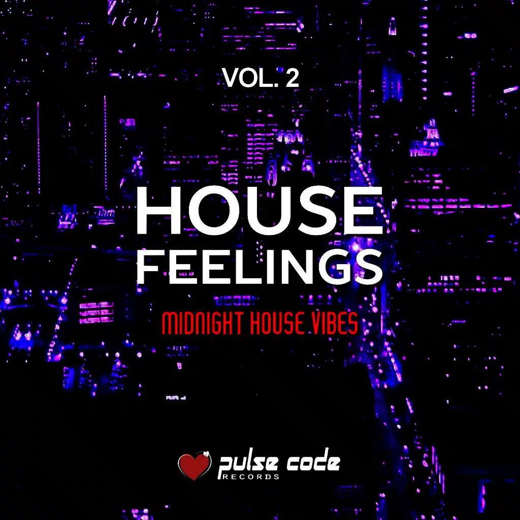 House Feelings, Vol. 2 (Midnight House Vibes)
