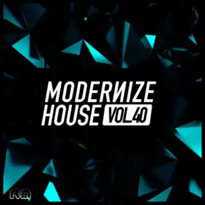 Modernize House, Vol. 40