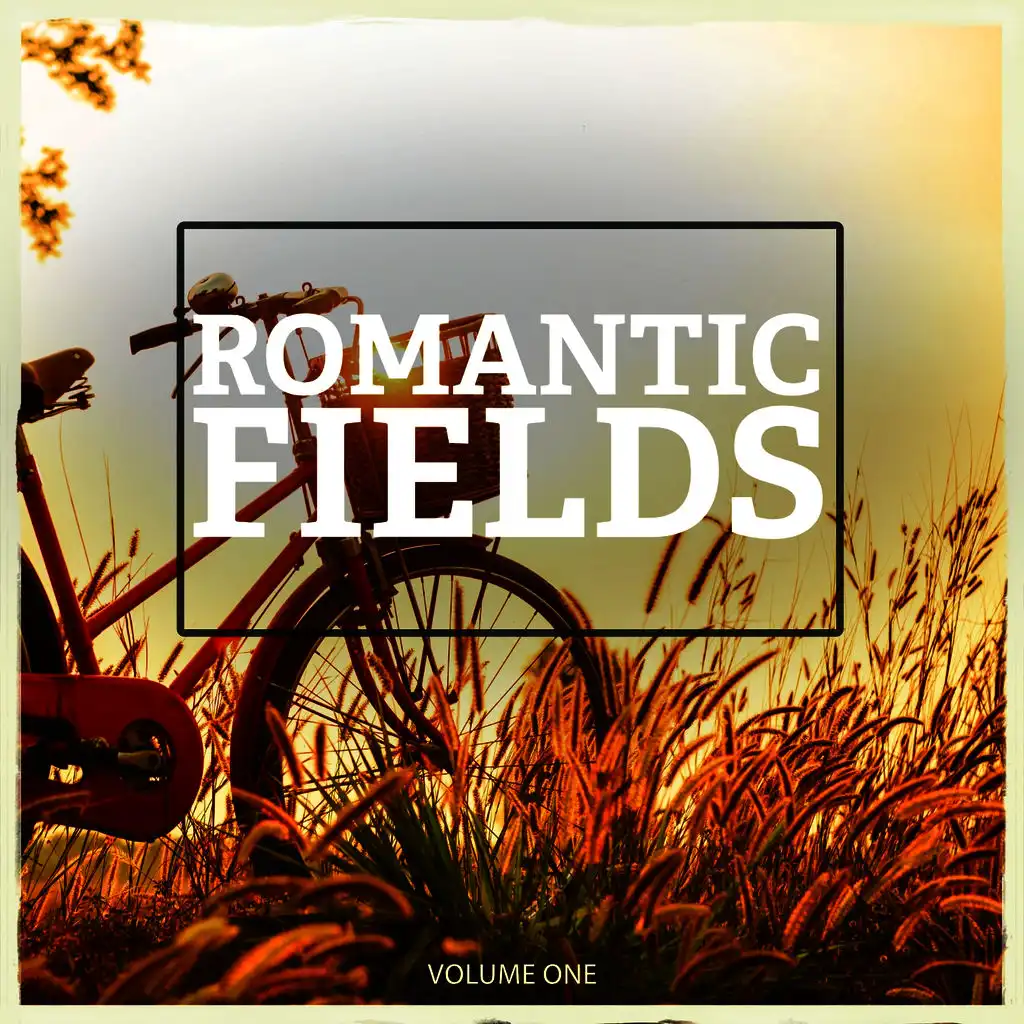 Romantic Fields, Vol. 1 (Wonderful Electronic Smooth Jazz Music For A Romantic Evening)