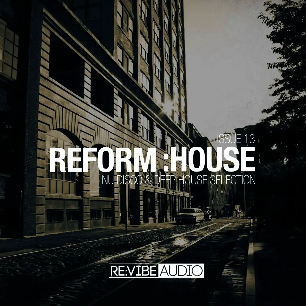 Reform:House Issue 13