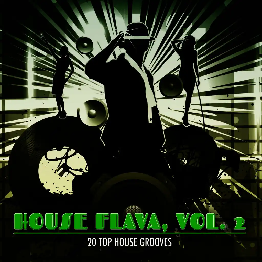 House Flava, Vol. 2 (20 Top House Grooves)