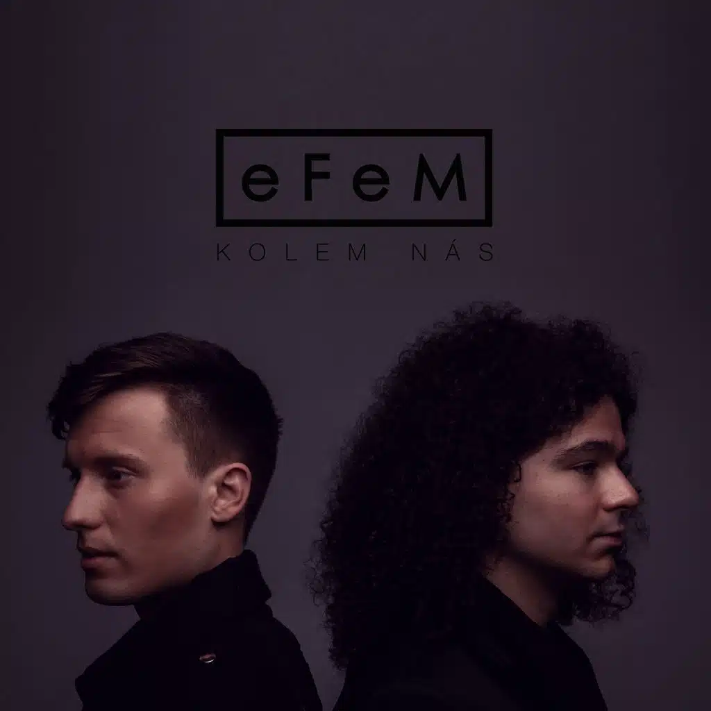 EFEM