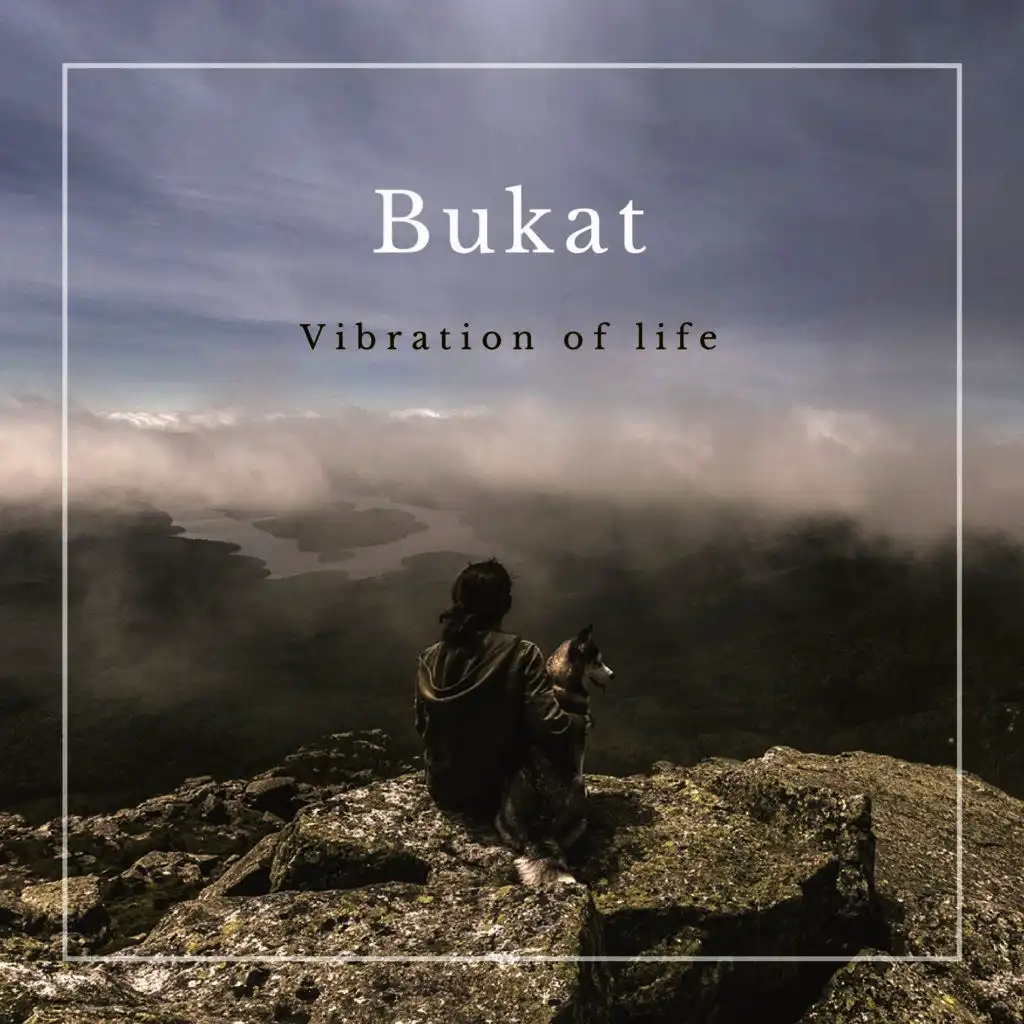 Vibration Of Life (Original Mix)