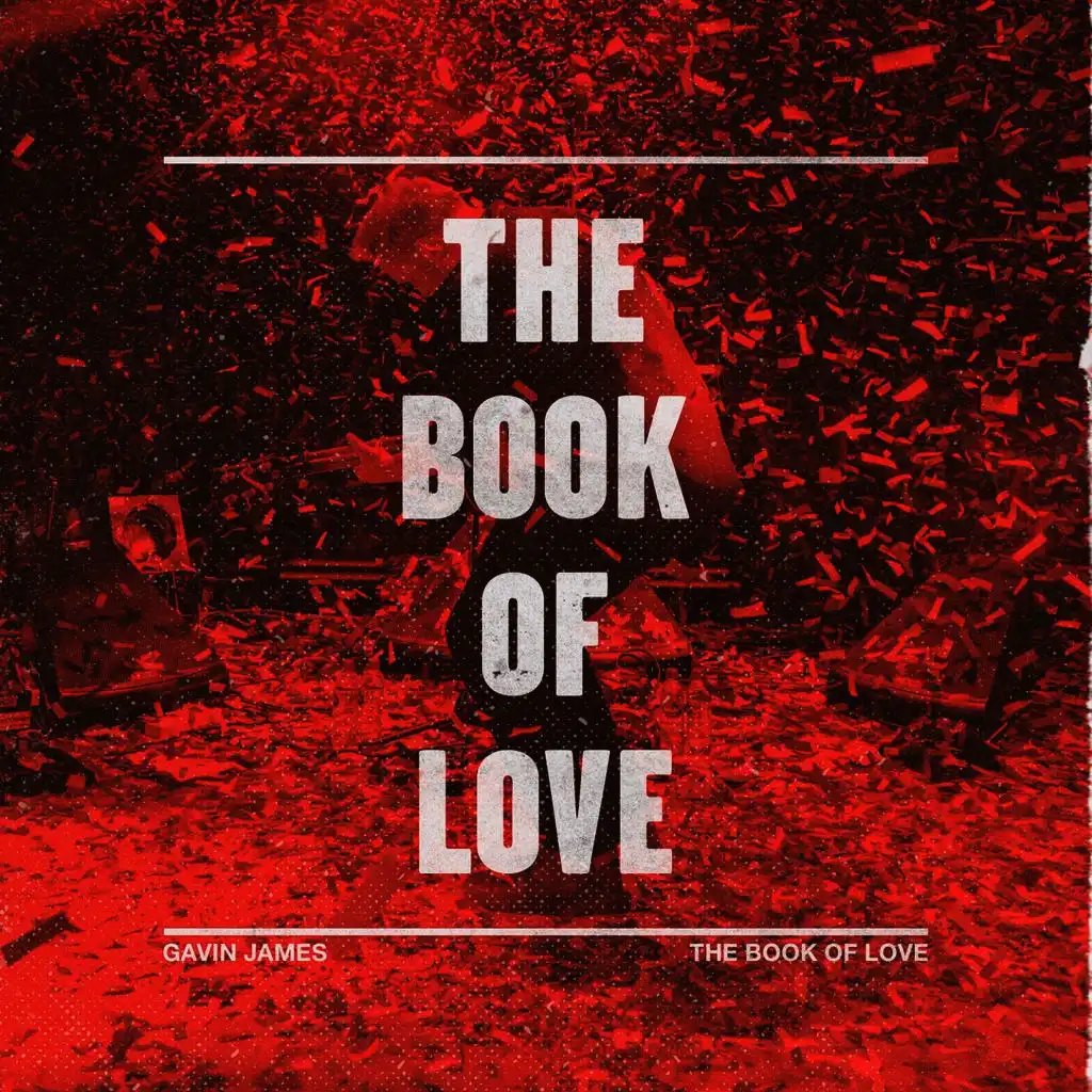 The Book of Love (Does It Offend You, Yeah? Remix) [feat. Does It Offend You Yeah?]