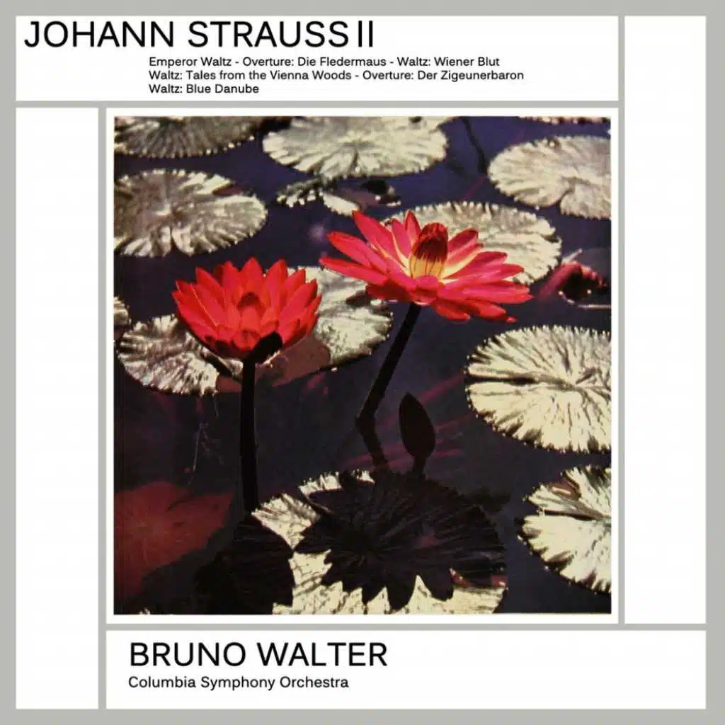 Johann Strauss II