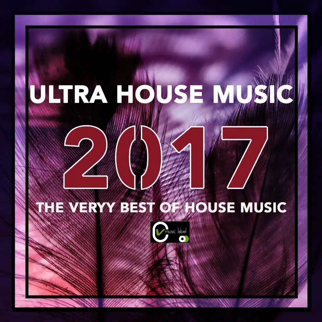 Ultra House Music 2017 (The Very Best of House Music)