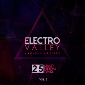 Electro Valley (25 Crazy Festival Tunes), Vol. 2