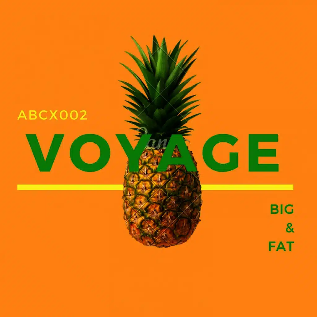 Voyage