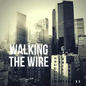 Walking the Wire (Cover Electro)
