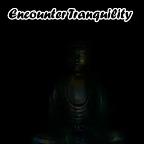 Encounter Tranquility