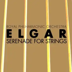 Serenade for Strings in E Minor, Op. 20: I. Allegro piacevole - II. Larghetto - III. Allegretto come prima