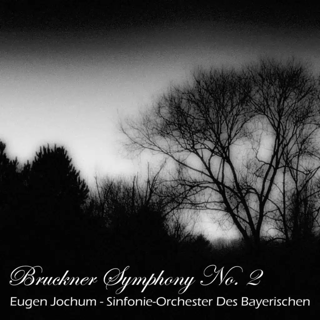 Sinfonie-Orchester Des Bayerischen Rundfunks and Eugen Jochum