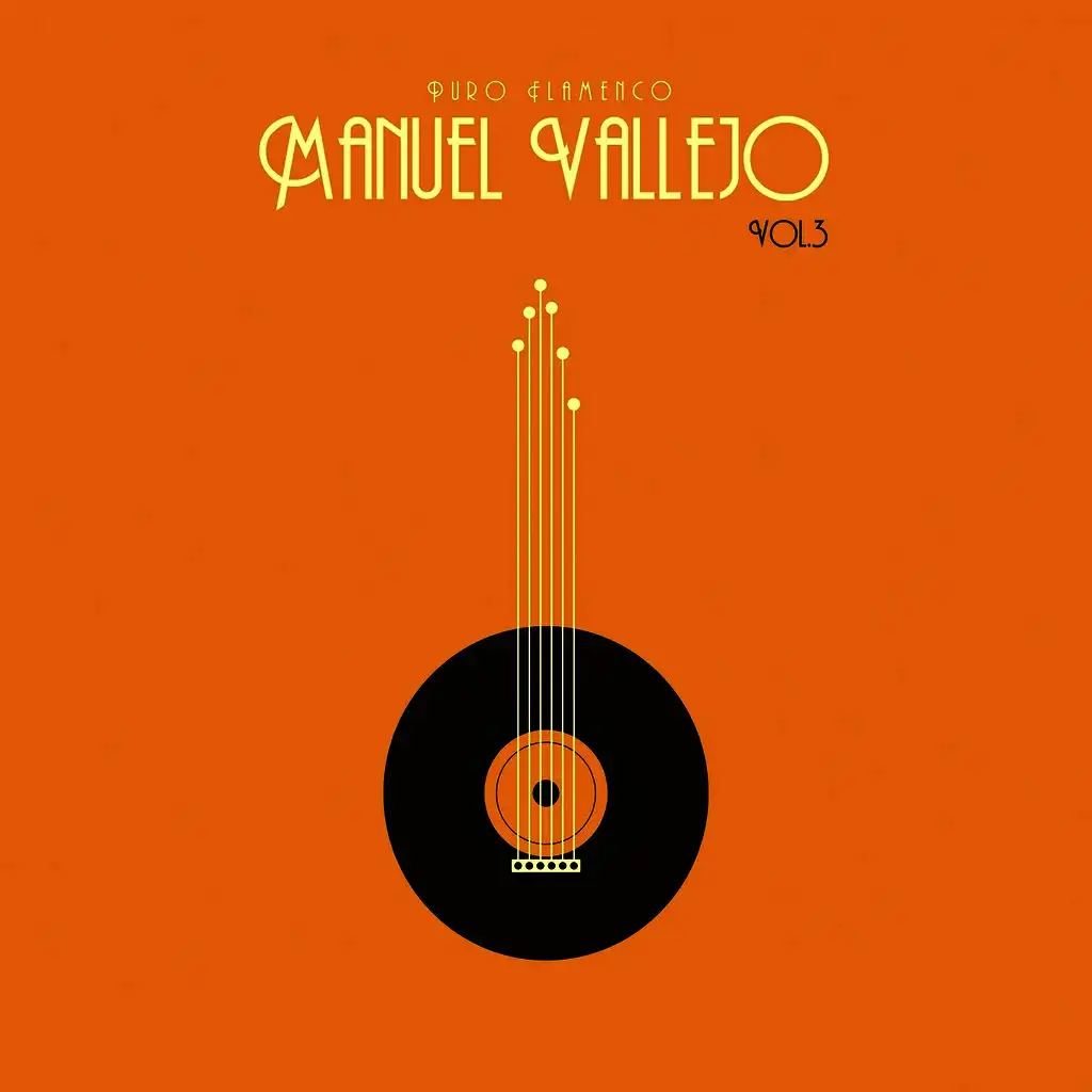 Puro Flamenco - Manuel Vallejo - Vol. 3