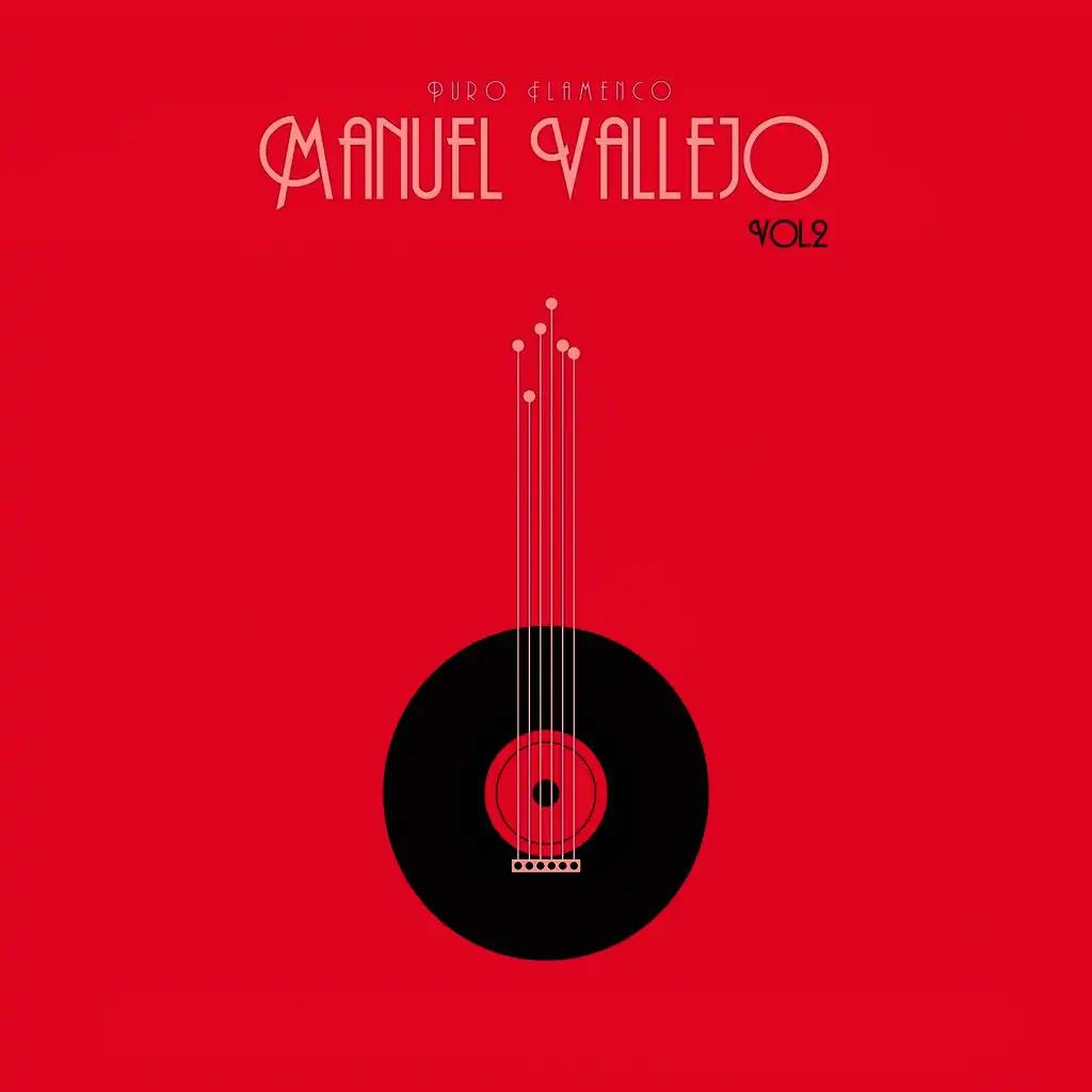 Puro Flamenco - Manuel Vallejo - Vol. 2