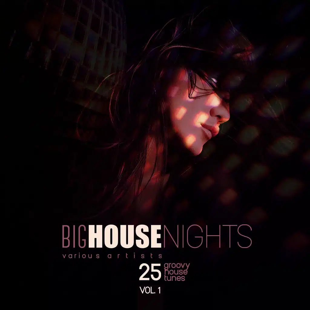 Big House Nights (25 Groovy House Tunes), Vol. 1