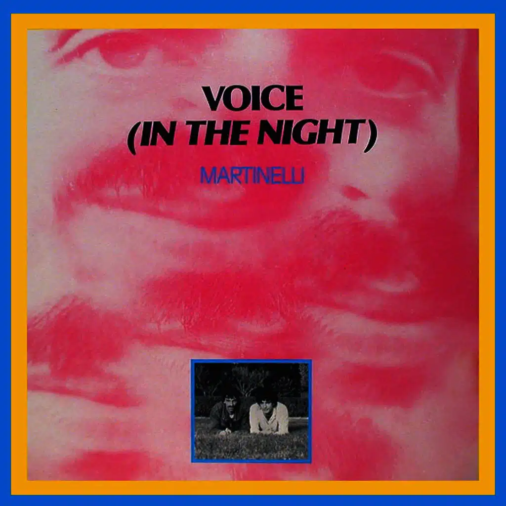 Voice (In the Night)