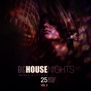 Big House Nights (25 Groovy House Tunes), Vol. 2