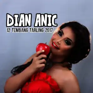 Dian Anic 12 Tembang Tarling Dangdut 2017