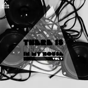 There Is - Electro in My House., Vol. 9