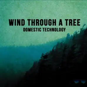 Wind Through a Tree