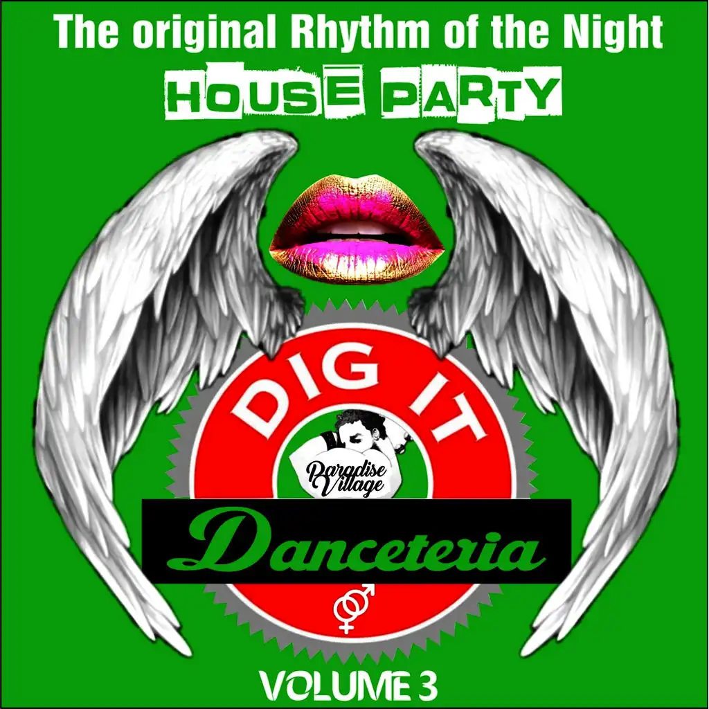 Danceteria Dig-It - Volume 3 - The Original Rhythm of the Night - House Party (House Groovin')