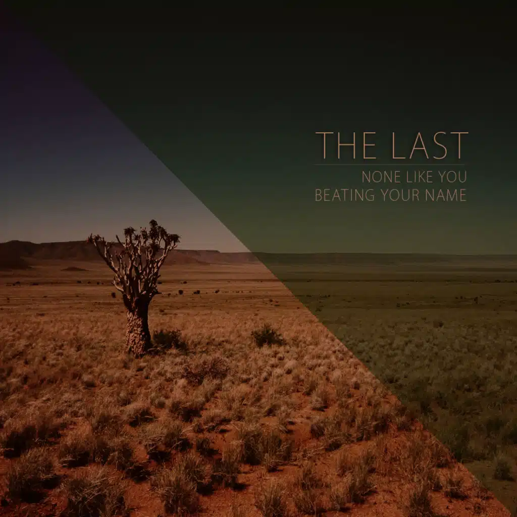 None Like You / Beating Your Name