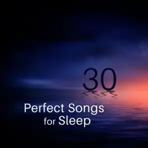 Perfect Songs for Sleep