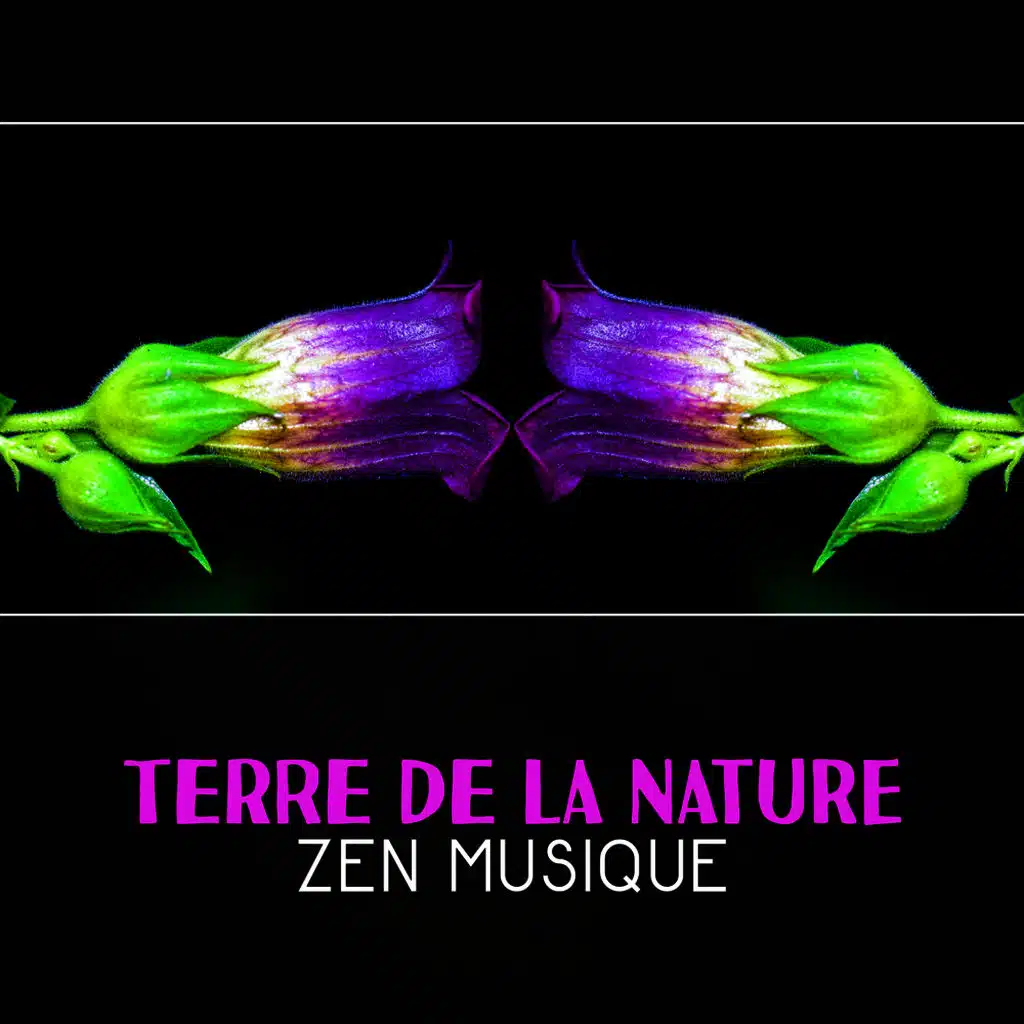 Terre de la nature – Zen musique, Relaxation profonde, Calme toi un peu, Musique d’ambiance avec sons de la nature