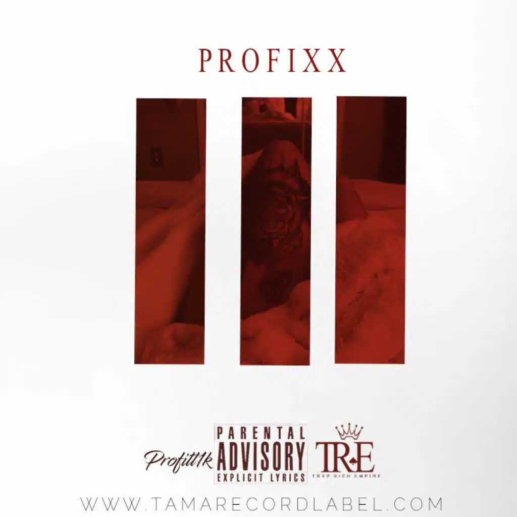 PROFIXX
