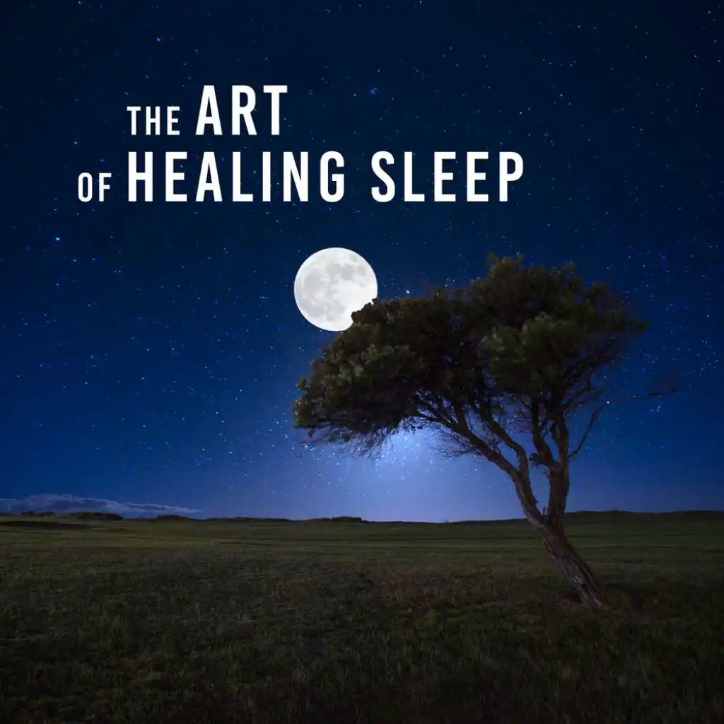 Healing Sleep (Calm Music)