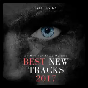 Best New Tracks 2017 (Le Meilleur De La Musique)