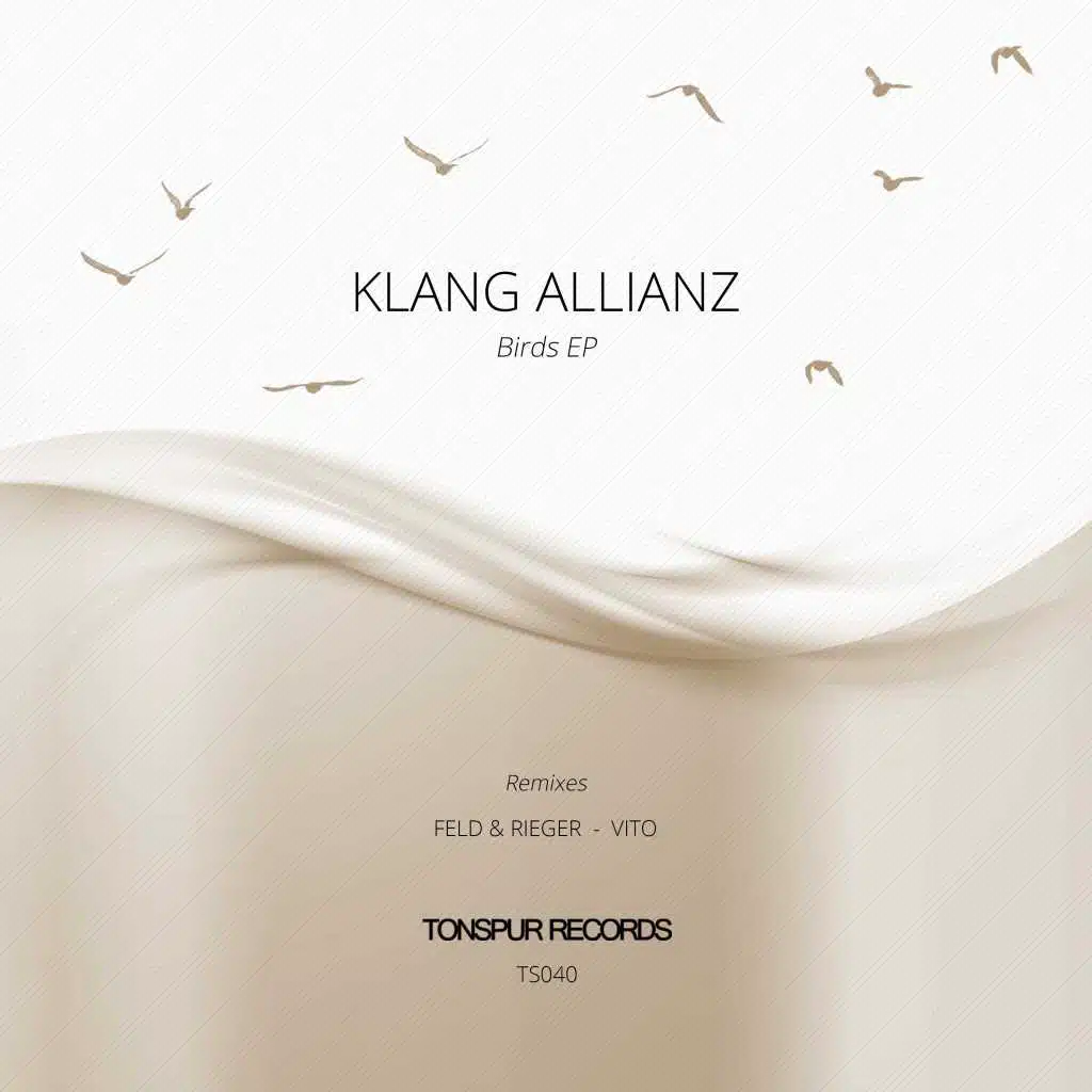 Birds (Feld & Rieger Remix)