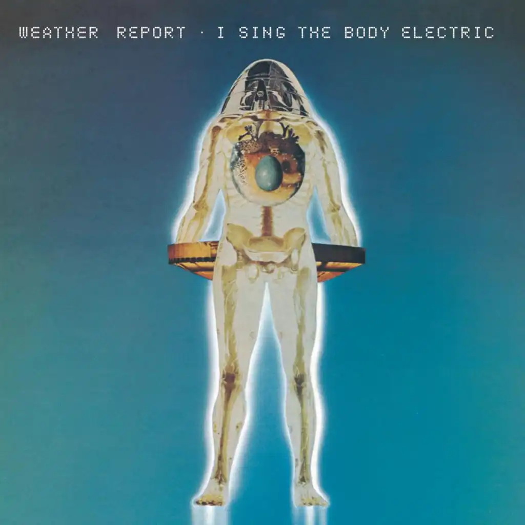 I Sing The Body Electric