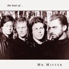 The Best of Mr. Mister - Remastered 2001