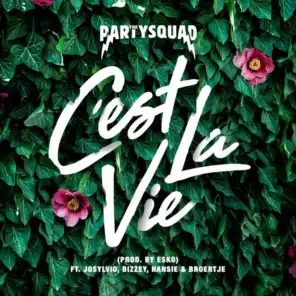 C'est la vie (feat. Bizzey, Broertje, Josylvio & Hansie)