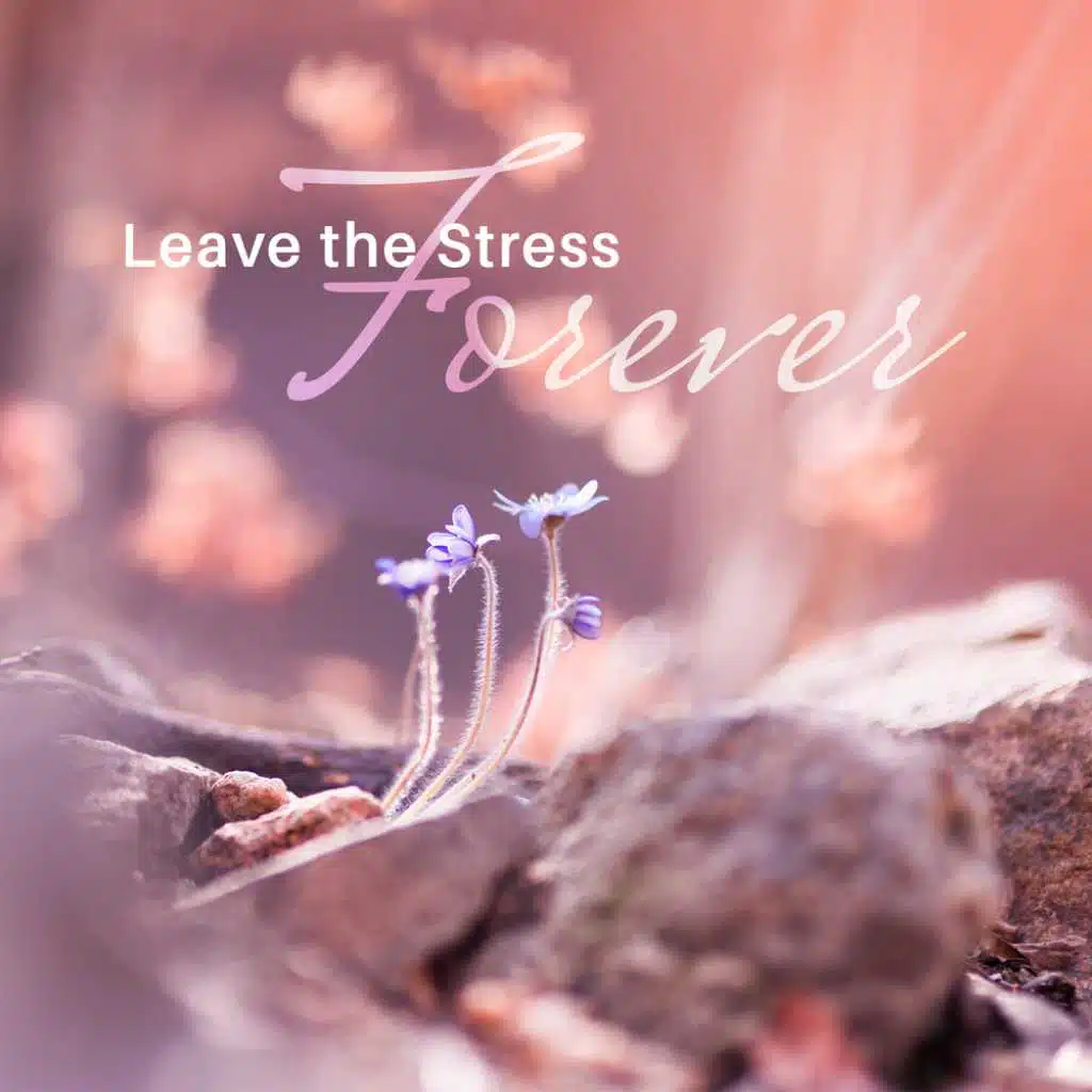 Mindfulness Meditation