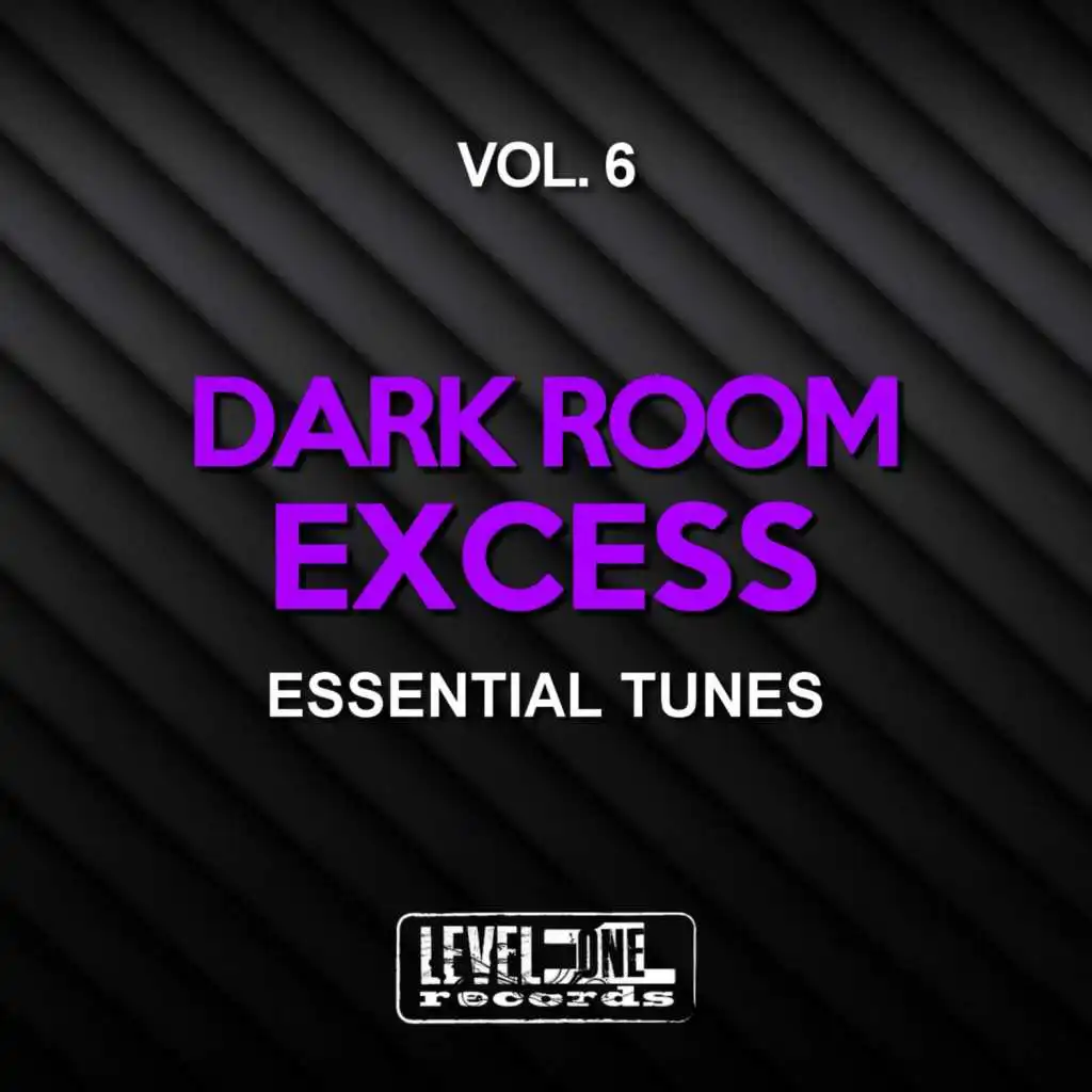Dark Room Excess, Vol. 6 (Essential Tunes)