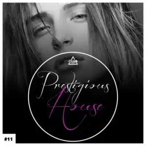 Prestigious House, Vol. 11