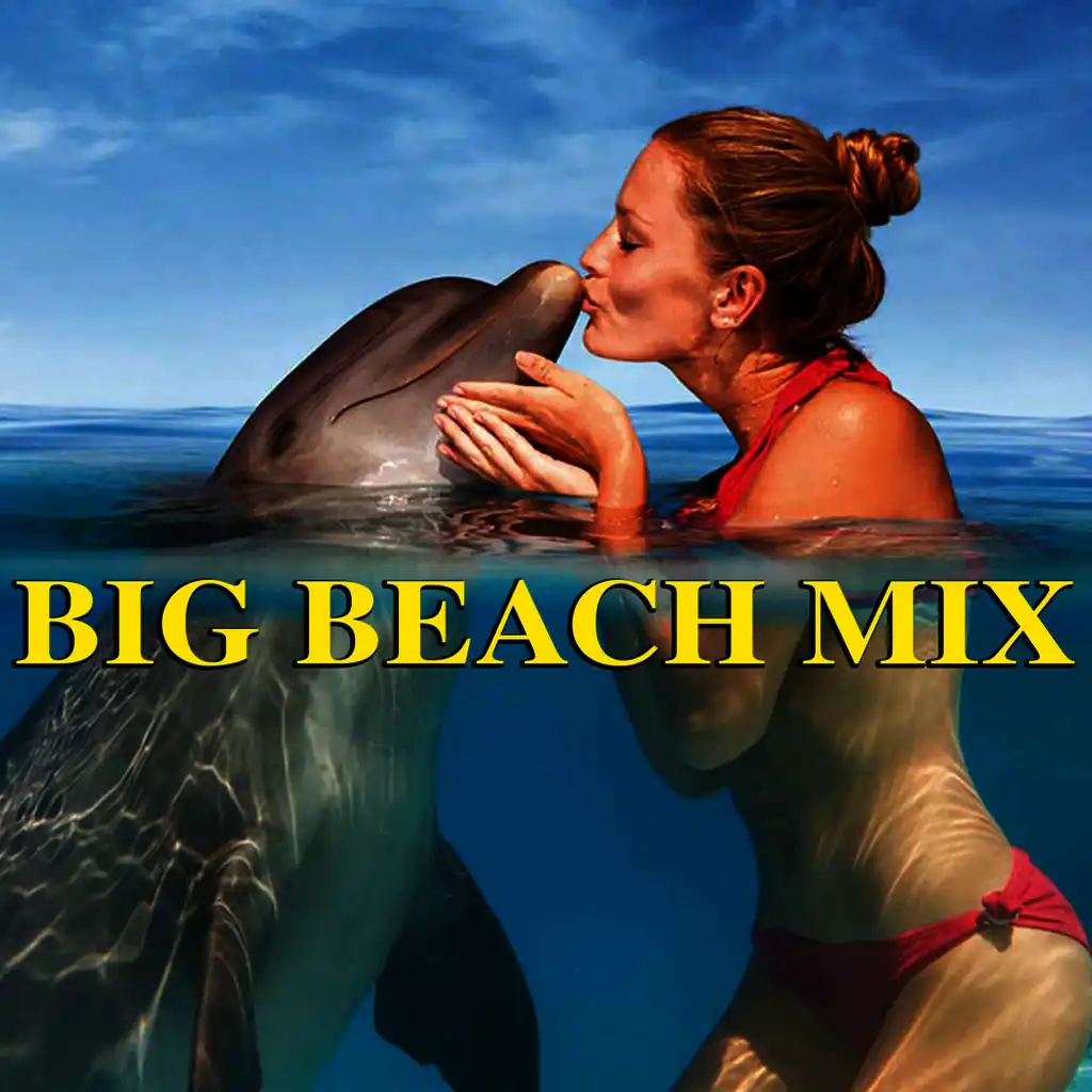 Big Beach Mix